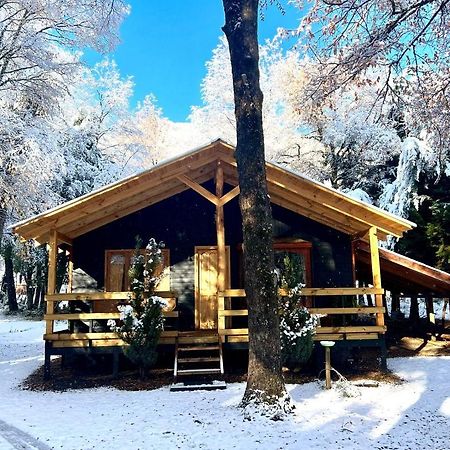 Cabanas Bosque Las Trancas Bagian luar foto