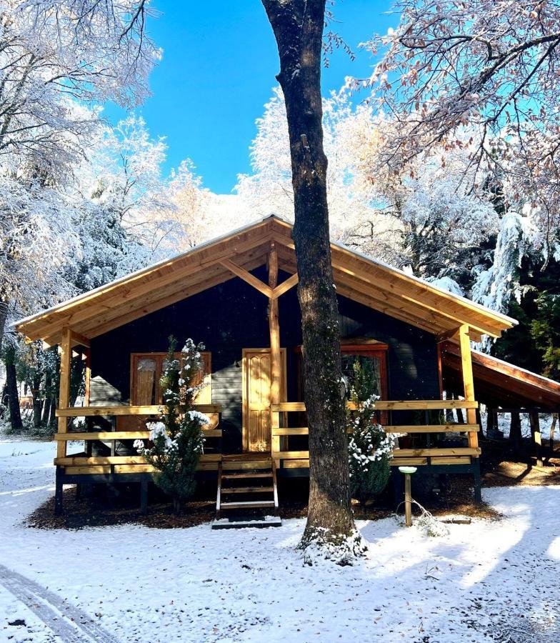 Cabanas Bosque Las Trancas Bagian luar foto