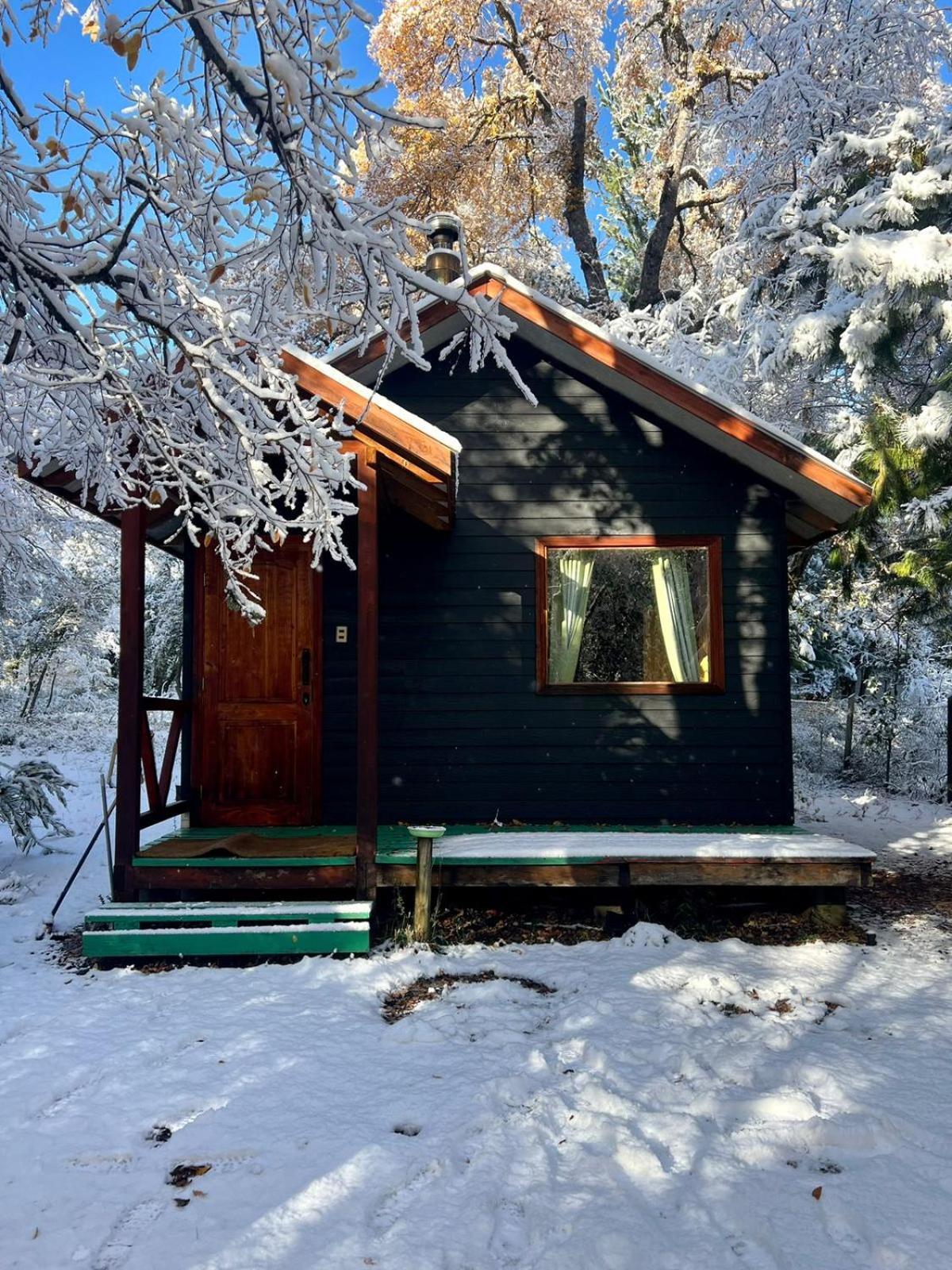 Cabanas Bosque Las Trancas Bagian luar foto