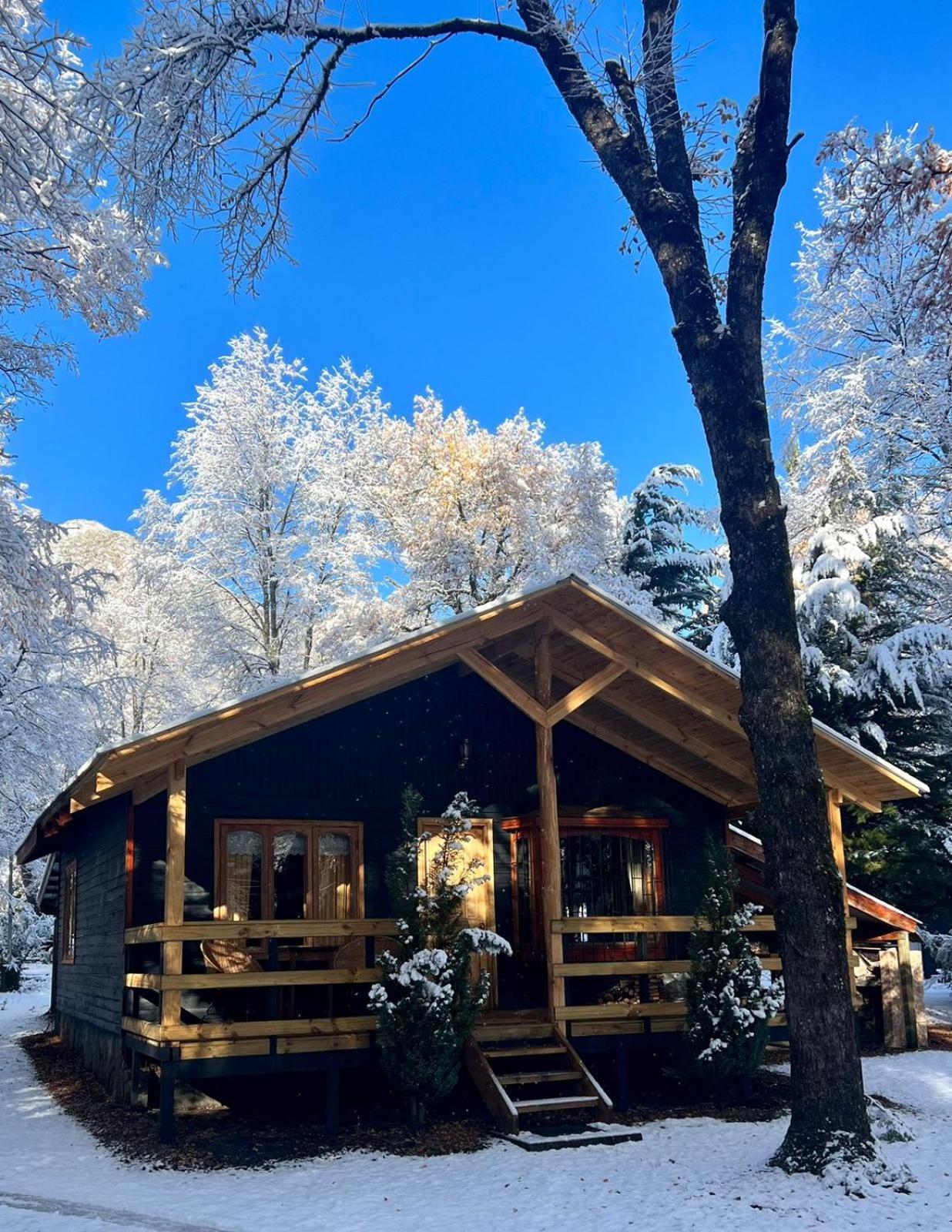 Cabanas Bosque Las Trancas Bagian luar foto